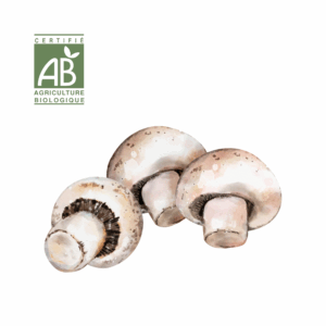 Champignons Bruns