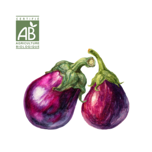 Aubergine