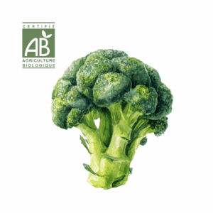 Brocoli
