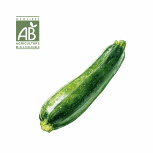 Courgette