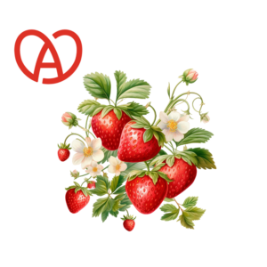 Fraise