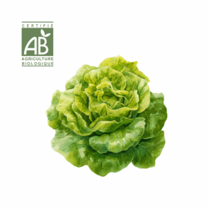 Salade Verte et Rouge