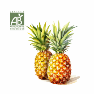 Ananas