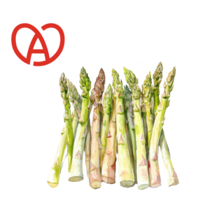 Asperges Blanches