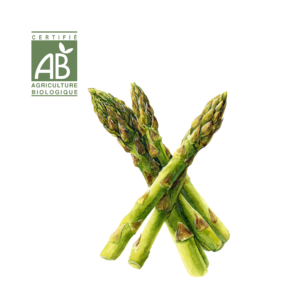 Asperges Vertes