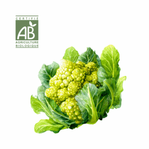 Chou Romanesco
