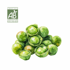 Choux de Bruxelles