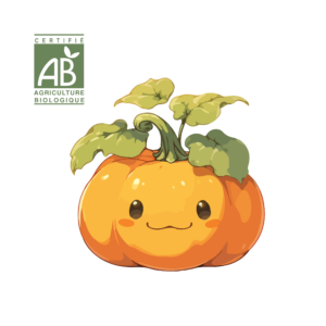 Citrouille d'Halloween