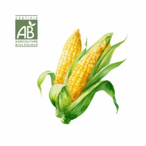 Maïs Doux (Précuit)