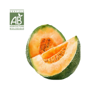 Melon Charentais