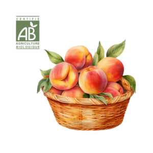 Nectarine Jaune et Blanche