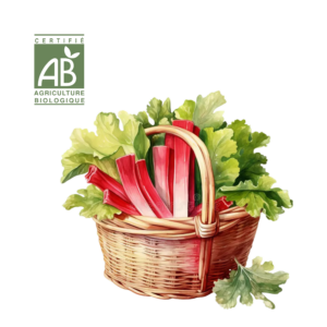 Rhubarbe