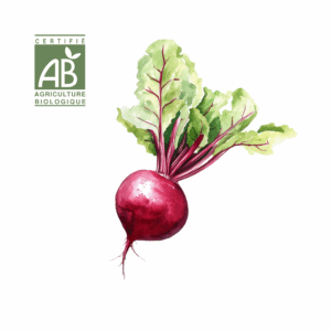 Betterave Rouge (Précuite)
