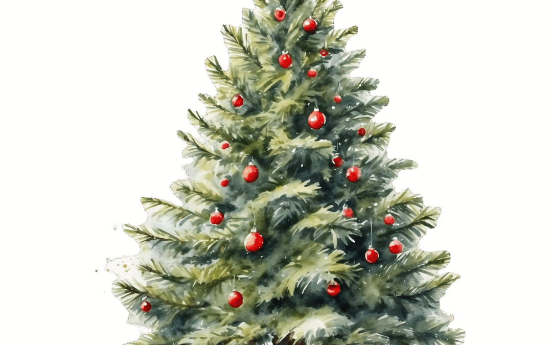 Les sapins sont là ! HoHoHo !