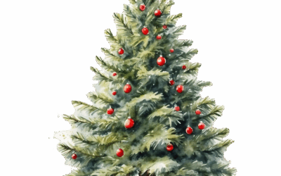 Les sapins sont là ! HoHoHo !